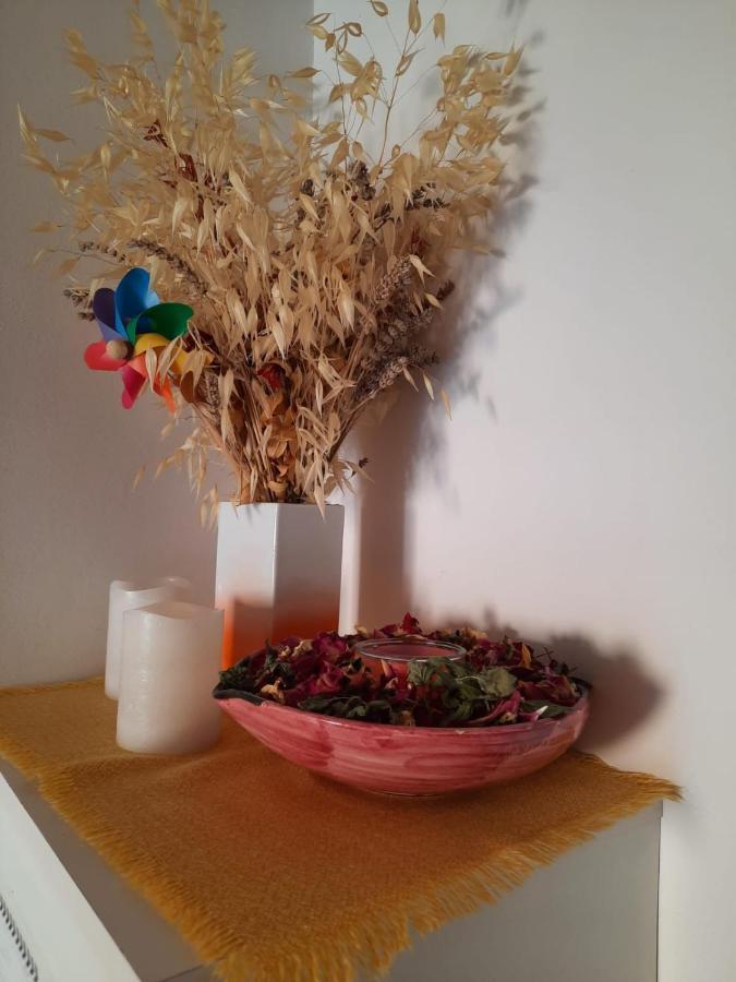 Apartmani Gracela Vodice Esterno foto
